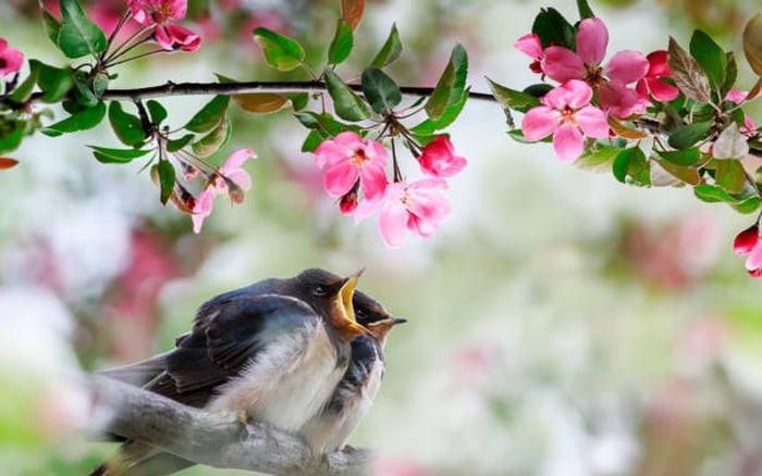 Người sinh 3 tháng này Thần Tài trợ giúp cả đời, gặp hung hóa cát - Hình 2 Nguoi sinh 3 thang nay Than Tai tro giup ca doi, gap hung hoa cat-Hinh-2