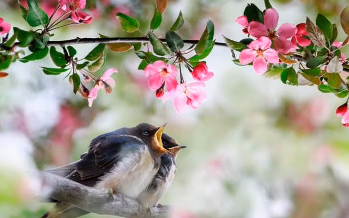 Nguoi sinh 3 thang nay Than Tai tro giup ca doi, gap hung hoa cat-Hinh-2