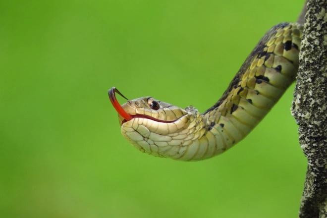 Cuoi thang 9 Am lich: Nguoi sao Ke Do 