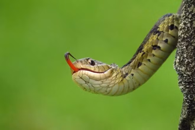 Cuoi thang 9 Am lich: Nguoi sao Ke Do 