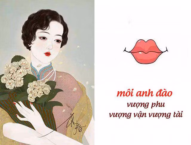 Những người có môi anh đào thường được sinh ra trong gia đình không phú cũng quý, họ ít khi phải chịu cảnh bần hàn cơ cực. Đã thế, họ còn chịu thương chịu khó, không sợ khổ, có chí cầu tiến lại thêm cái miệng “ngọt như mía lùi” nên chẳng bao giờ sống thiếu. Từ 25 – 30 là thời điểm cuộc sống vật chất được định hình, luôn tiền đầy ví, hết lại có.