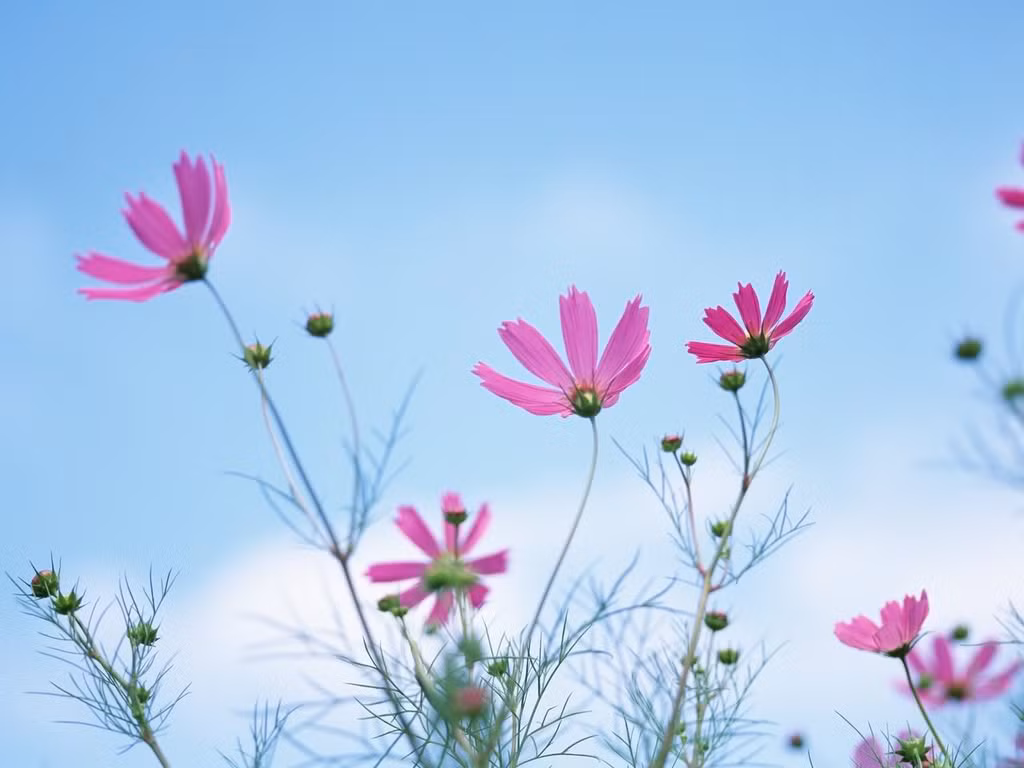 Sinh ngày 19 Âm lịch. Những người sinh ngày 19 Âm lịch được hưởng cuộc sống vận số tốt lành. Những người này tính tình chân thành tốt bụng lại thêm ý chí dồi dào, vượt trội mà phú quý hơn người. 