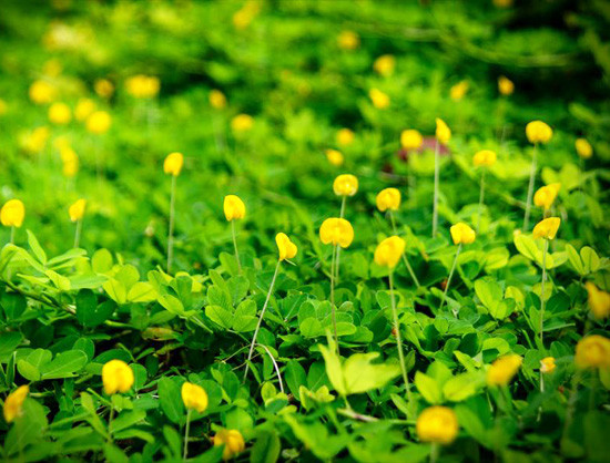 Thời điểm năm 2023 tới đây sẽ là thời điểm để người này tỏa sáng, bũng xõa hết tiềm năng của mình và mang về những thành quả xứng đáng nhất. Với tinh thần kiên trì, quyết tâm thì Quý Mão sẽ là một năm vô cùng thuận lợi, dễ dàng hoàn thành được mục tiêu, cuộc sống bước sang trang mới.