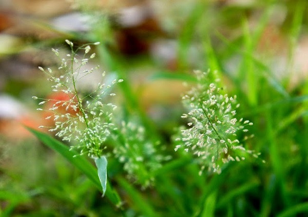 Ngay sinh Am lich nhu “ca gap nuoc”, 2023 tien chat thanh nui