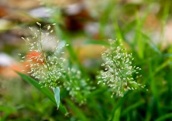 Ngay sinh Am lich nhu “ca gap nuoc”, 2023 tien chat thanh nui