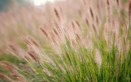 Vốn dĩ những người sinh ngày này có vận mệnh phúc phần nổi bật hơn những người khác lại thêm tính cách lạc quan, mục tiêu rõ ràng họ lại càng vận dụng được sự may mắn của mình mà gạt được áp lực, tìm ra con đường tiến thân khôn khéo.