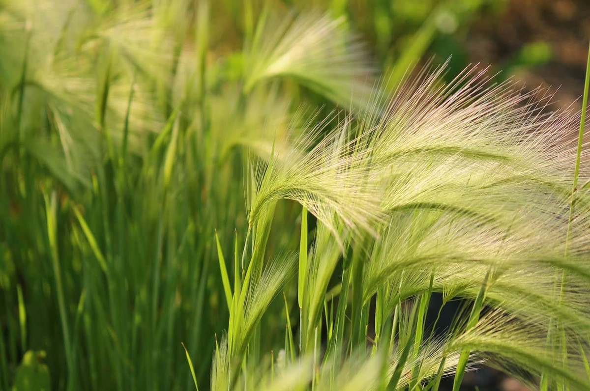 Bản mệnh được trời phú cho đầu óc tinh ranh, giỏi tính toán, làm được nhiều điều mà không phải ai cũng làm được cộng thêm sự tốt bụng, hiểu chuyện nên đi đến đâu cũng được mọi người giúp đỡ. Sang năm 2023, họ gặp được vận khí khá vượng.