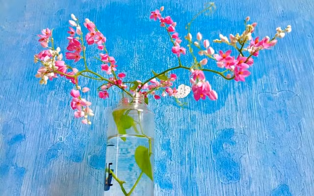 Họ là những người đạt được nhiều điều lớn lao, được sự phù trợ của vận khí nên số mệnh đạt được một cuộc sống rực rỡ, hưởng cuộc sống giàu sang. * Thông tin mang tính chất tham khảo. 