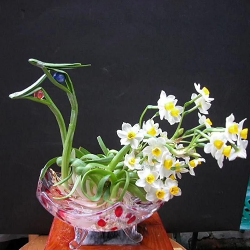 5 loai hoa dep nhung khong may, de trong nha moi goi van xui