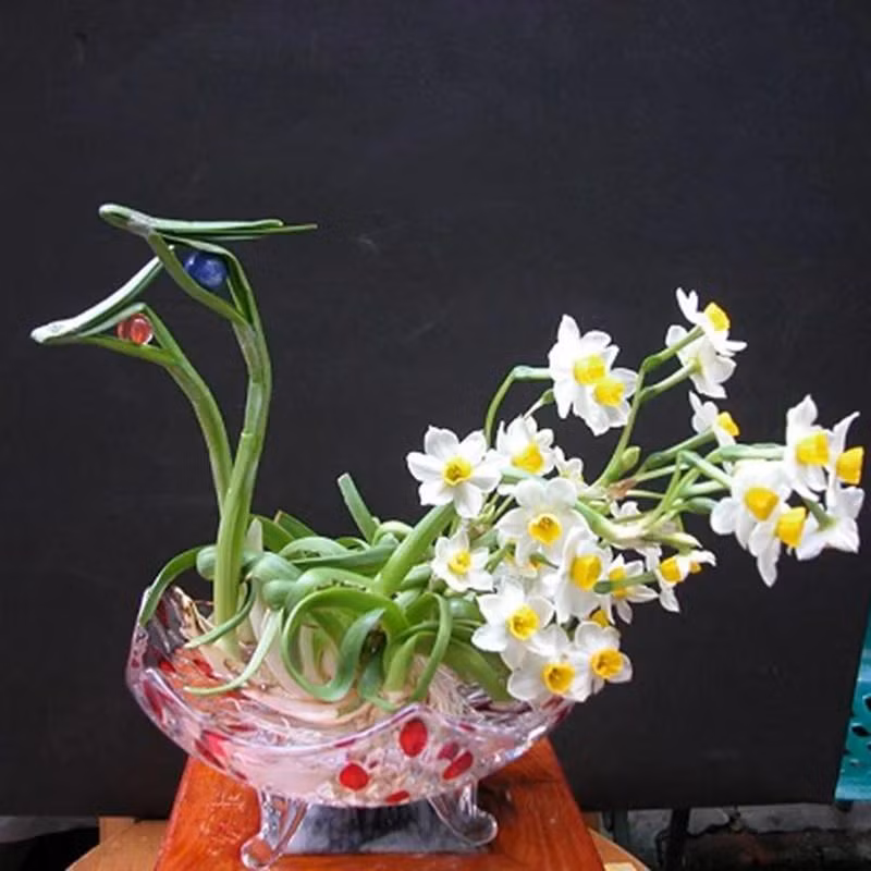 5 loai hoa dep nhung khong may, de trong nha moi goi van xui