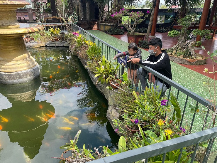 9X Đắk Lắk thu nhập cả trăm triệu đồng sau khởi nghiệp 9X Dak Lak thu nhap ca tram trieu dong sau khoi nghiep