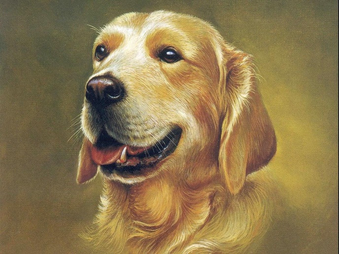 Tuy nhiên, chính sự tự ti đó lại là động lực để họ mạnh mẽ và nỗ lực hơn để tìm kiếm cơ hội đổi đời.