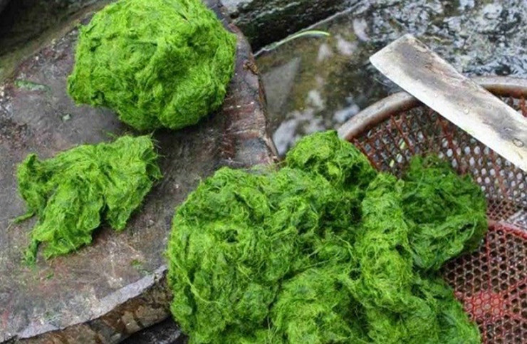 Rêu đá là một đặc sản có từ lâu đời, được nhiều dân tộc như Mường, Nùng, Thái, Mông,… ưa thích