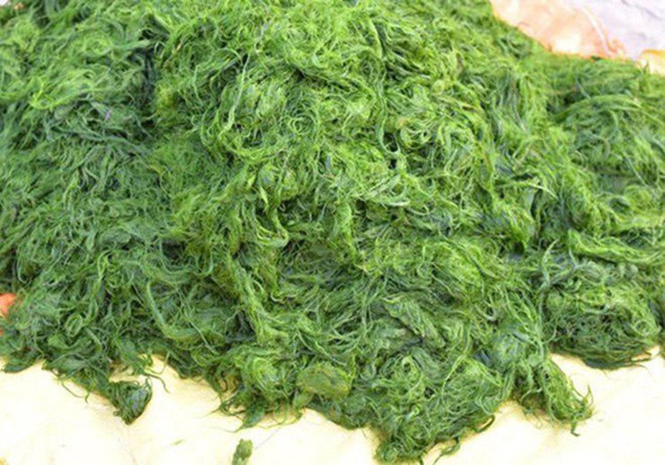 Rêu tươi sau khi được lấy tại suối đem về rửa thật sạch cho hết nhớt phù sa bằng cách vò và đập thật kỹ, từ đó có thể chế biến thành nhiều món khác nhau