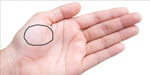 Ban tay phu nu co an tuong phu quy, ca doi vinh hoa