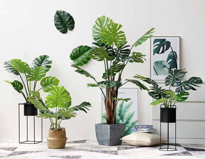 Ngoài cây giả, gia chủ cũng không nên trưng bình rỗng hay hoa héo trước cửa nhà. Theo quan niệm phong thủy, bước vào nhà thấy lọ hoa rỗng, hoa héo, cây/hoa giả là điều không tốt, thể hiện tình cảm vợ chồng dễ rạn nứt, có kẻ thứ ba rình rập, phá hoại hạnh phúc gia đình.