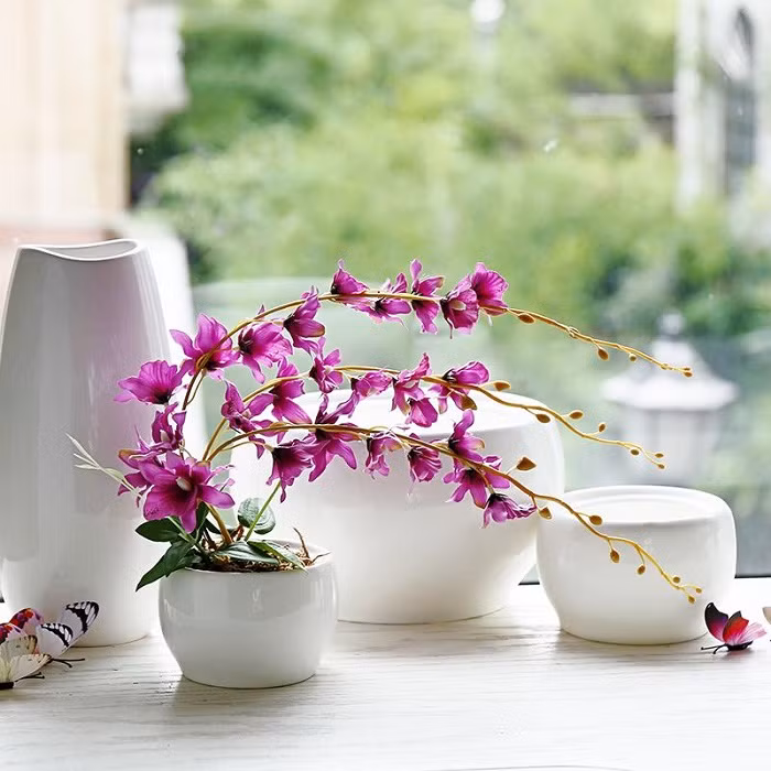 Nếu muốn trang trí nhà cửa, thu hút vượng khí, gia chủ nên chọn cây thật, hoa thật để bày trước nhà. * Thông tin mang tính chất tham khảo, chiêm nghiệm.