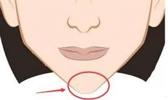 Dan ong cam nhon co so menh nhu the nao?