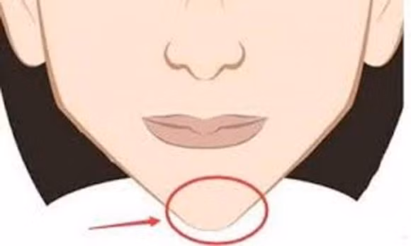 Dan ong cam nhon co so menh nhu the nao?