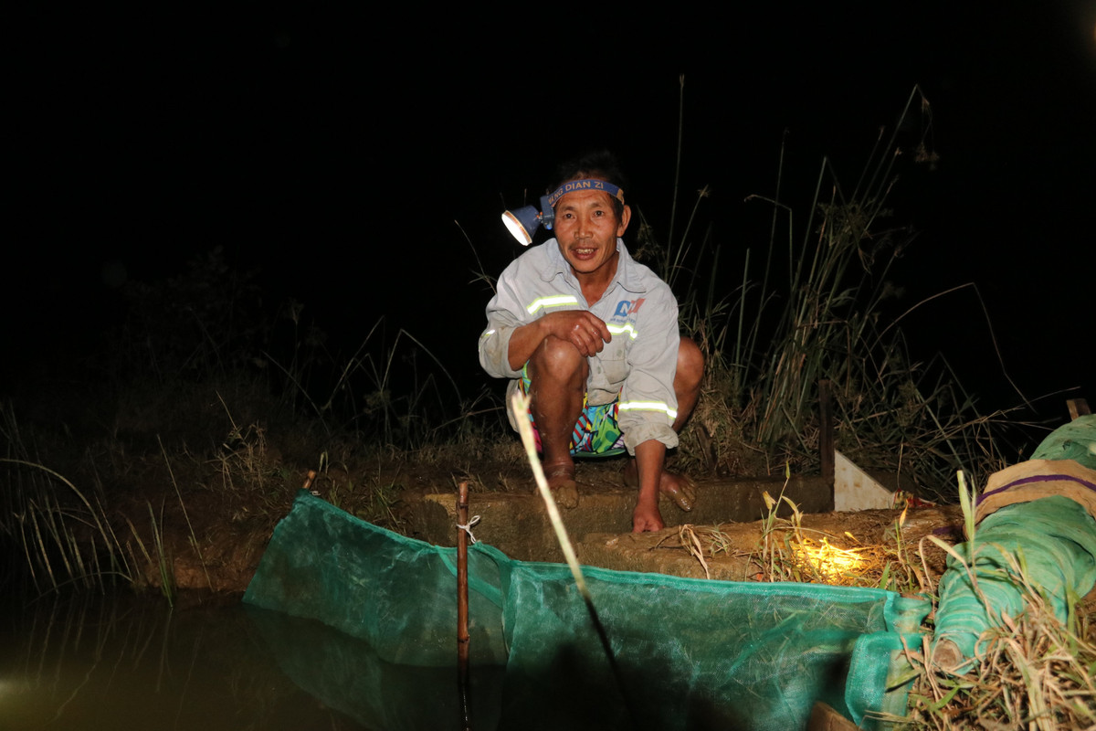 Loi ruong, dam mua san dac san ruoi, ban nua trieu dong moi ky-Hinh-7