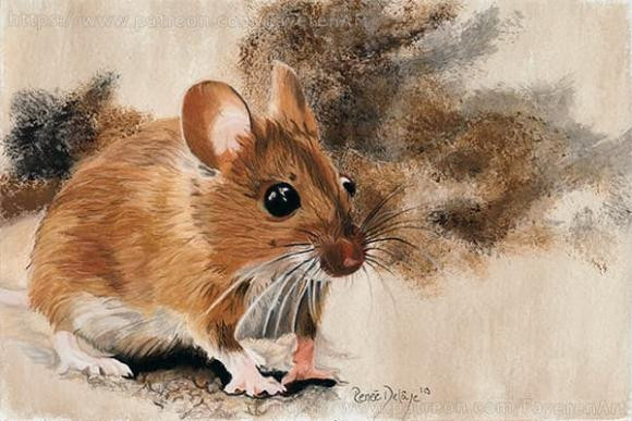 Tuổi Tý. Tý luôn có định hướng, mục tiêu rõ ràng trong cuộc đời mình. Không ít những lần con giáp này gặp phải khó khăn rồi thất bại nhưng ý chí, lòng quyết tâm, đam mê đang sục sôi trong lòng không cho phép họ chấp nhận thua cuộc.