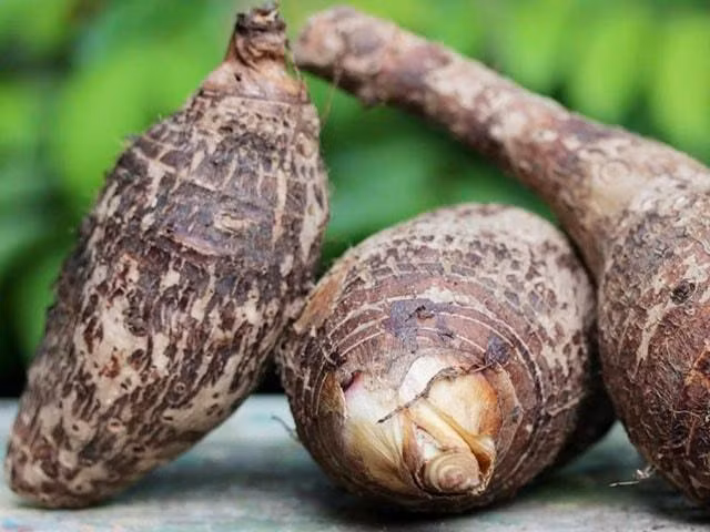 Nguoi tuyet doi khong nen an khoai so keo ruoc hoa-Hinh-3