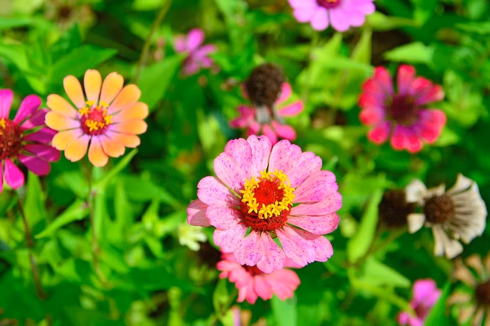 Sinh vao 4 ngay Am lich nay, phuc loc khong thieu, gia dinh hung vuong-Hinh-4