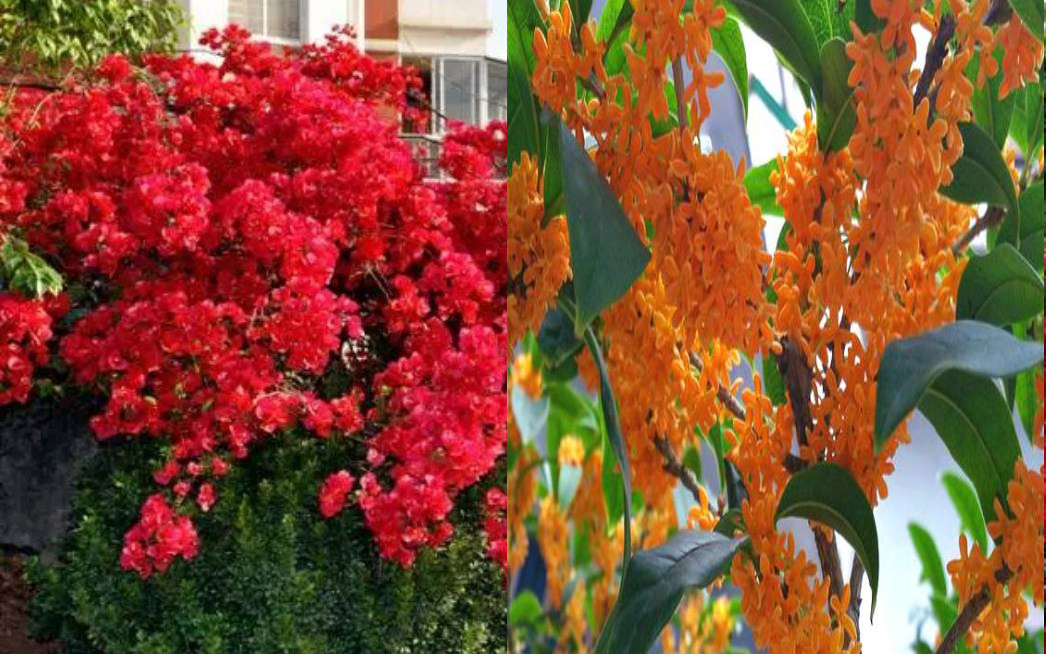 Sinh vào 4 ngày Âm lịch này, phúc lộc không thiếu, gia đình hưng vượng - Hình 2 Sinh vao 4 ngay Am lich nay, phuc loc khong thieu, gia dinh hung vuong-Hinh-2