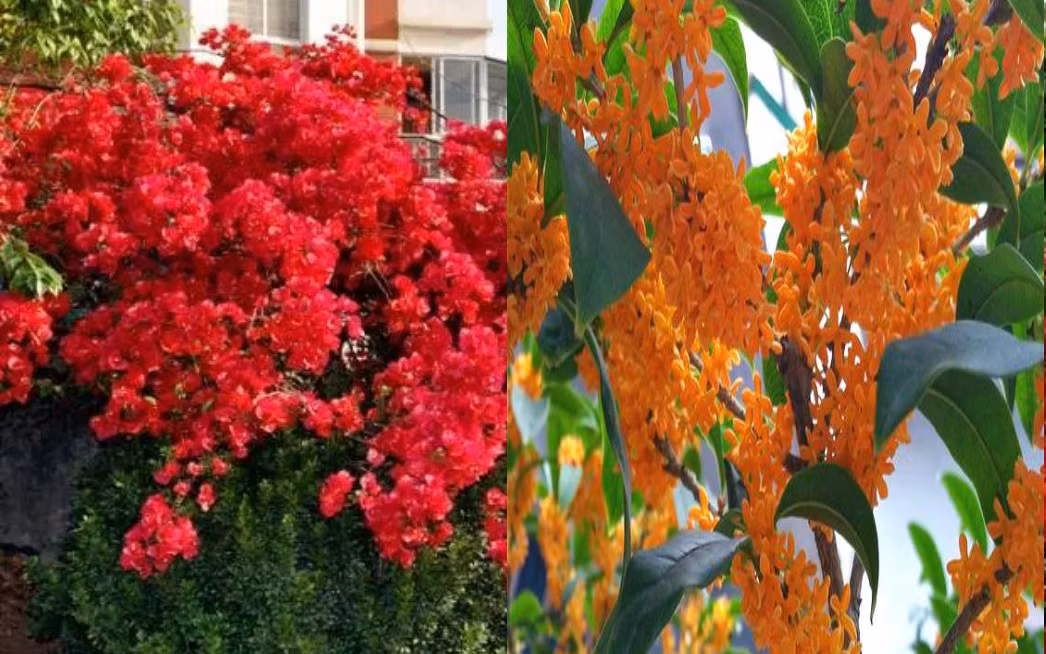 Sinh vao 4 ngay Am lich nay, phuc loc khong thieu, gia dinh hung vuong-Hinh-2