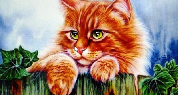 Tuổi Mão. Người tuổi Mão nổi tiếng tốt bụng, giản dị và yêu hòa bình. Trong cuộc sống, họ rất thân thiện với mọi người, thường chủ động giúp đỡ người khác.