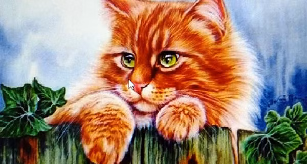 Tuổi Mão. Người tuổi Mão nổi tiếng tốt bụng, giản dị và yêu hòa bình. Trong cuộc sống, họ rất thân thiện với mọi người, thường chủ động giúp đỡ người khác.