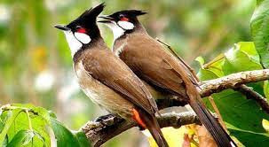 Sinh vào tháng 3 Âm lịch. Theo bói ngày tháng sinh Âm lịch, người sinh vào tháng 3 Âm lịch rất dễ hòa đồng, tính cách nhân hậu, thích giúp đỡ người khác.