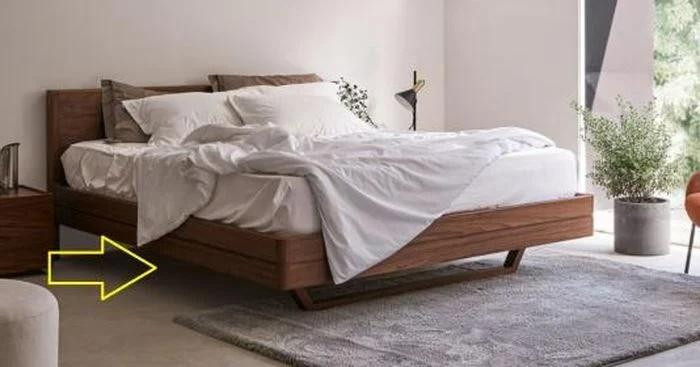 Dat 2 thu duoi gam giuong quet sach van xui, ruoc tai loc ve-Hinh-3