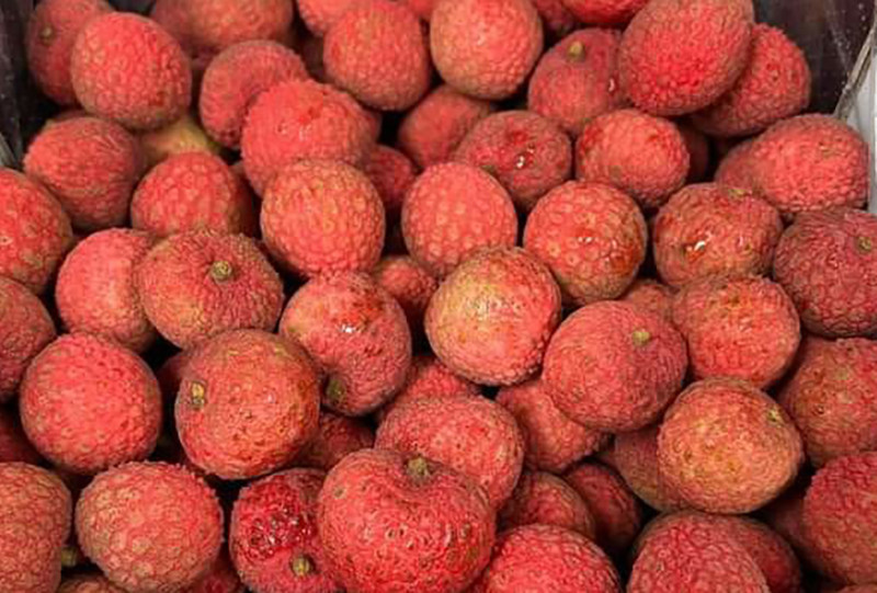 Cây cảnh giá hàng tỷ đồng xuất hiện trước Tết Dương lịch - Hình 16 Cay canh gia hang ty dong xuat hien truoc Tet Duong lich-Hinh-16