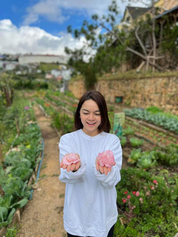 Pham Quynh Anh lo tin vat tinh yeu bi dan mang soi-Hinh-2