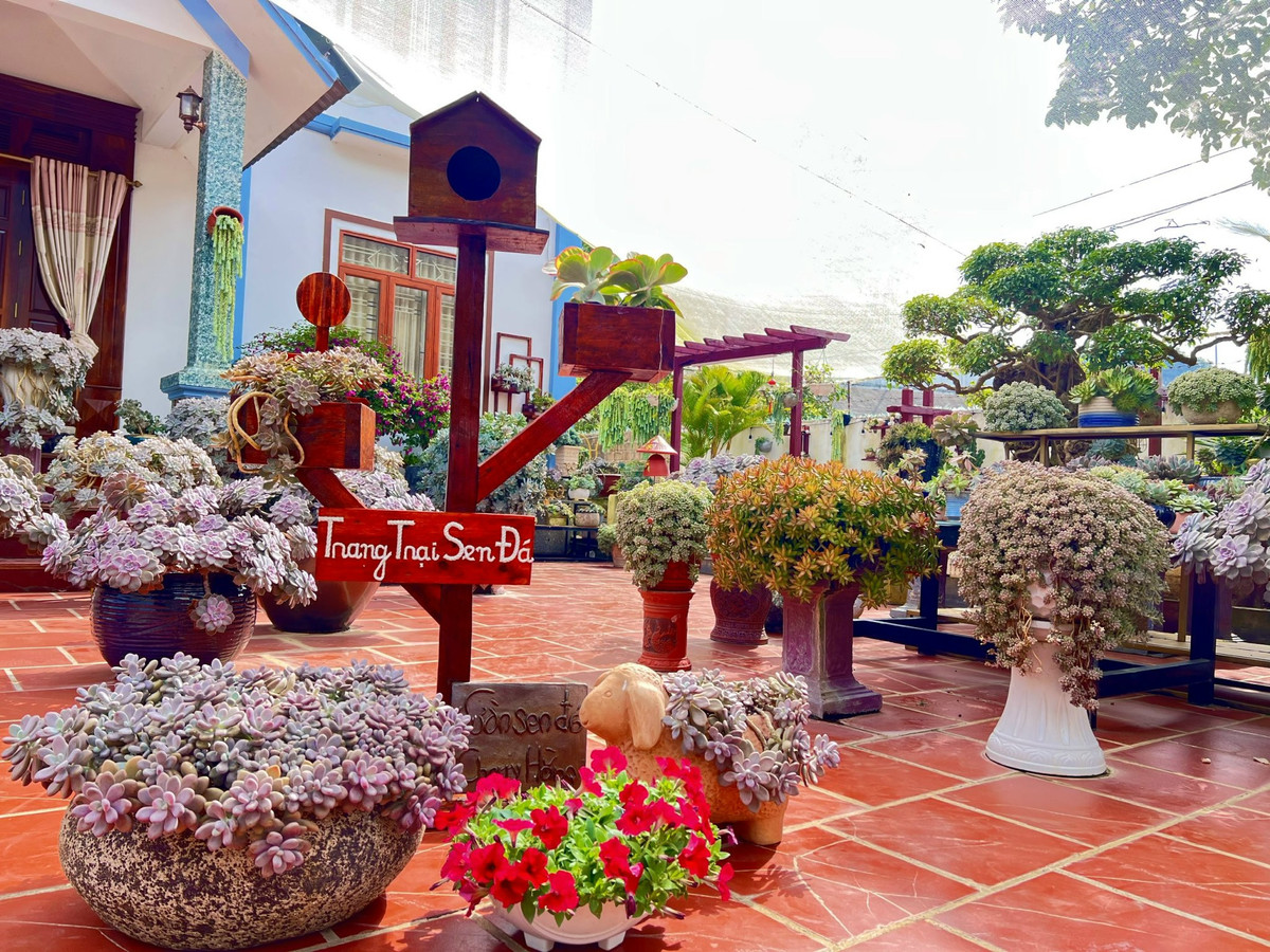 Thu choi khien co gai Son La 