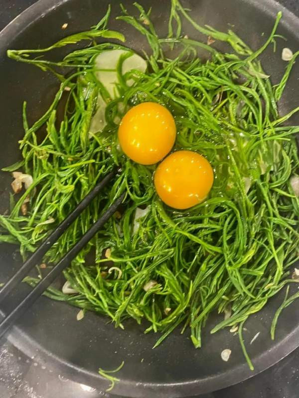 Loại rau dại Tây Bắc lại là vị thuốc thiên nhiên chữa bệnh - Hình 3 Loai rau dai Tay Bac lai la vi thuoc thien nhien chua benh-Hinh-3