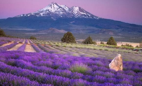 Nguoi sinh vao ngay nao, thap hen den dau cung khong bi vui dap-Hinh-3