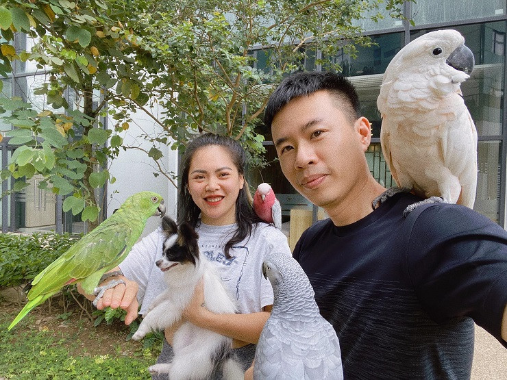 Những chú vẹt có giá nghìn đô: Biết nói tiếng người, hát hay, nhảy múa ảnh 12 Những chú vẹt có giá nghìn đô: Biết nói tiếng người, hát hay, nhảy múa ảnh 12