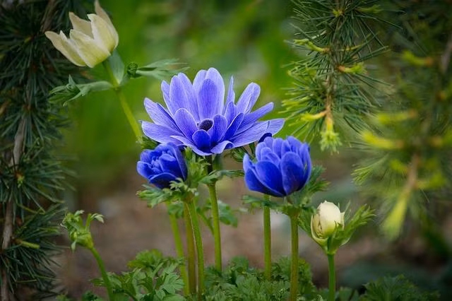 Nguoi sinh ngay Am lich nay dich thi con cung Than Tai, lam gi cung phat-Hinh-2