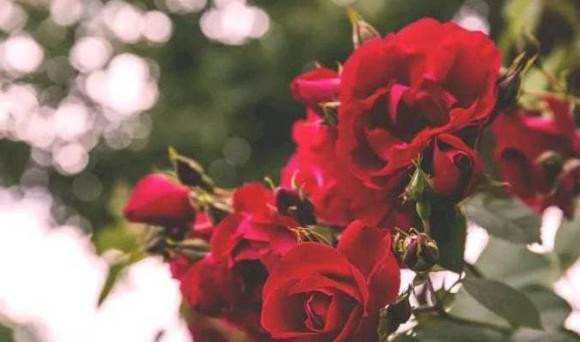 Phu nu sinh vao ngay nay, cang lon tuoi ho cang quyen ru-Hinh-2