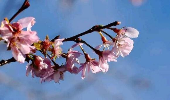 Phu nu sinh vao ngay nay, cang lon tuoi ho cang quyen ru-Hinh-4