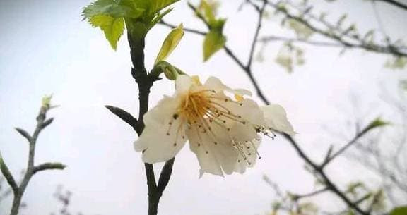 Phu nu sinh vao ngay nay, cang lon tuoi ho cang quyen ru-Hinh-3