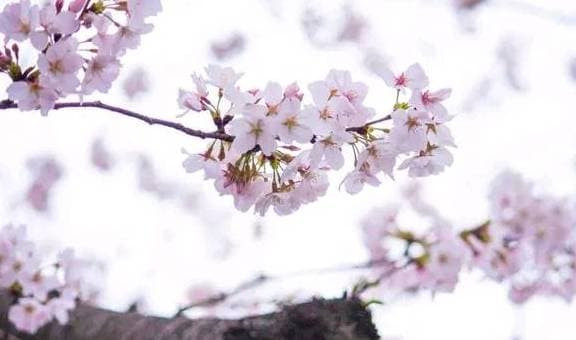 Phu nu sinh vao ngay nay, cang lon tuoi ho cang quyen ru