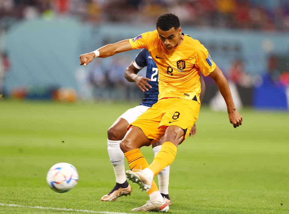 Nhan dinh bong da Qatar vs Ha Lan: Bat via chu nha