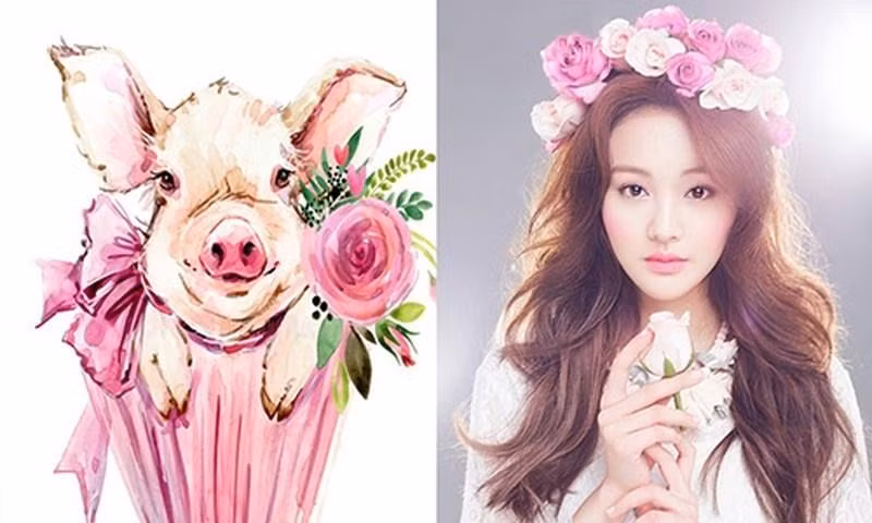 Theo các chuyên gia phong thủy, với nhiều sao tốt chiếu mệnh nhất, người tuổi Hợi sẽ gặp vận đỏ nhất từ giữa tháng 5 đến đầu tháng 10 dương.