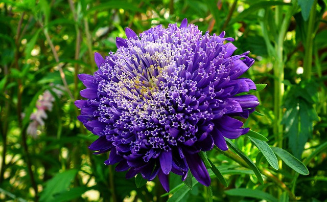 Người có giờ sinh này "ngọa hổ tàng long", ngân khố rủng rỉnh Nguoi co gio sinh nay