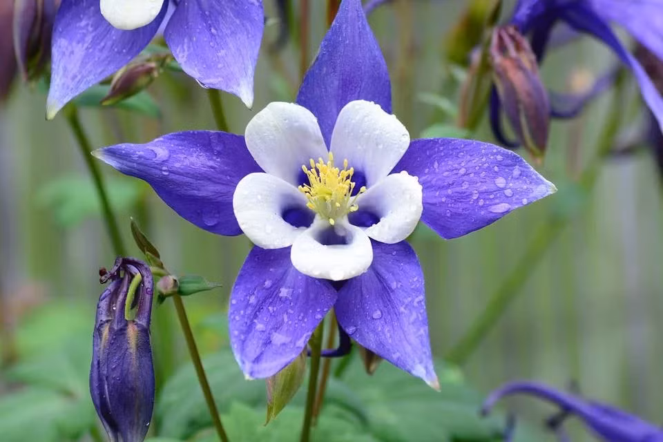 Nguoi co gio sinh nay 