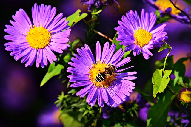 Nguoi co gio sinh nay 