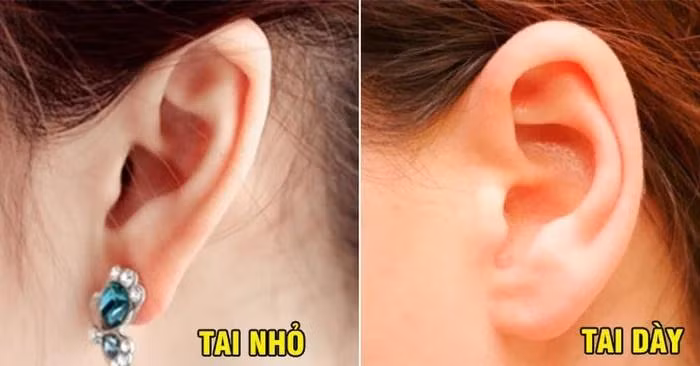 Nhin hinh dang tai biet ngay cuoc doi phu quy hay ban hen-Hinh-2